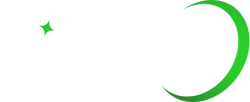 logo-servis-profesionalnog-ciscenja-F&T---za-plave